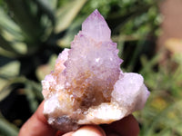 Natural Amethyst Spirit Quartz Clusters x 12 From Boekenhouthoek, South Africa