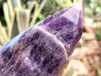 Polished Chevron Amethyst Crystal Points x 2 From Zambia