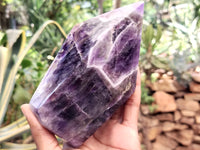 Polished Chevron Amethyst Crystal Points x 2 From Zambia