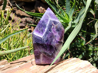 Polished Chevron Amethyst Crystal Points x 2 From Zambia