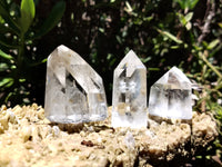 Polished Clear Quartz Crystals with Rainbow Veils x 12 From Madagascar