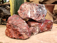 Natural Red Jasper Cobbed Specimens x 9 From Northern Cape, South Africa