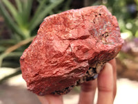 Natural Red Jasper Cobbed Specimens x 9 From Northern Cape, South Africa