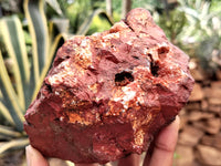 Natural Red Jasper Cobbed Specimens x 9 From Northern Cape, South Africa