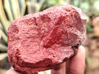 Natural Red Jasper Cobbed Specimens x 9 From Northern Cape, South Africa