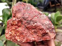 Natural Red Jasper Cobbed Specimens x 9 From Northern Cape, South Africa