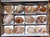 Polished Flower Agate Gallet / Palm Stones x 12 From Madagascar