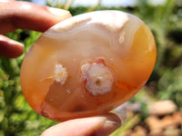 Polished Flower Agate Gallet / Palm Stones x 12 From Madagascar