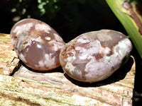 Polished Flower Agate Gallet / Palm Stones x 12 From Madagascar