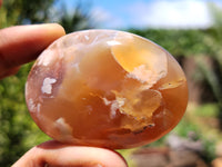 Polished Flower Agate Gallet / Palm Stones x 12 From Madagascar