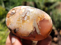 Polished Flower Agate Gallet / Palm Stones x 12 From Madagascar