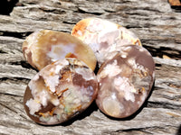 Polished Flower Agate Gallet / Palm Stones x 12 From Madagascar