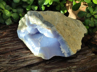 Natural Blue Lace Agate Geode Specimen x 1 From Malawi