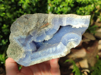 Natural Blue Lace Agate Geode Specimen x 1 From Malawi