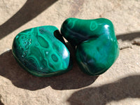 Polished Flower Banded Malachite Free Forms x 6 From Congo