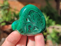 Polished Flower Banded Malachite Free Forms x 6 From Congo