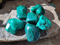 Polished Flower Banded Malachite Free Forms x 6 From Congo