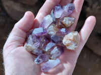 Natural Royal Zulu Amethyst Crystals x 79 from KwaZulu Natal, South Africa