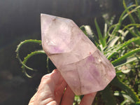 Polished Window Amethyst Quartz Crystal x 1 From Akansobe, Madagascar