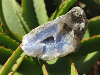 Natural Blue Lace Agate Geode Specimens x 12 From Malawi