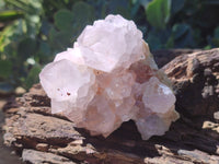 Natural Amethyst Spirit Quartz Clusters x 12 From Boekenhouthoek, South Africa