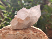 Natural Amethyst Spirit Quartz Clusters x 12 From Boekenhouthoek, South Africa