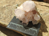 Natural Amethyst Spirit Quartz Clusters x 12 From Boekenhouthoek, South Africa