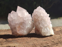 Natural Amethyst Spirit Quartz Clusters x 12 From Boekenhouthoek, South Africa