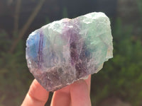 Natural Watermelon Fluorite Cobbed Specimens x 12 From Uis, Namibia