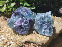 Natural Watermelon Fluorite Cobbed Specimens x 12 From Uis, Namibia