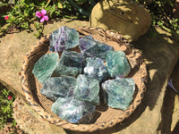 Natural Watermelon Fluorite Cobbed Specimens x 12 From Uis, Namibia