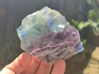 Natural Watermelon Fluorite Cobbed Specimens x 12 From Uis, Namibia