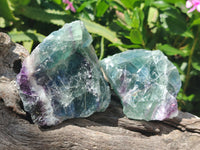 Natural Watermelon Fluorite Cobbed Specimens x 12 From Uis, Namibia