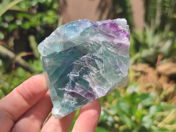 Natural Watermelon Fluorite Cobbed Specimens x 12 From Uis, Namibia