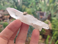 Natural Quartz Crystals x 35 From Mpika, Zambia