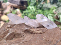 Natural Quartz Crystals x 35 From Mpika, Zambia