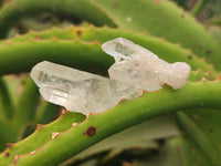 Natural Quartz Crystals x 35 From Mpika, Zambia