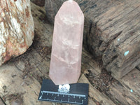 Polished Rose Quartz Points x 2 From Madagascar