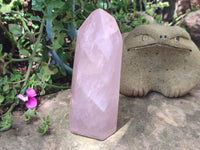 Polished Rose Quartz Points x 2 From Madagascar