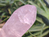 Polished Rose Quartz Points x 2 From Madagascar