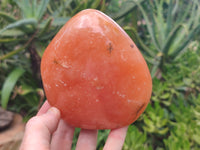 Polished Orange Twist Calcite Standing Free Forms x 2 From Madagascar