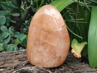 Polished Orange Twist Calcite Standing Free Forms x 2 From Madagascar