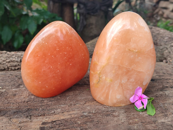 Polished Orange Twist Calcite Standing Free Forms x 2 From Madagascar