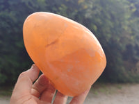 Polished Orange Twist Calcite Standing Free Forms x 2 From Madagascar