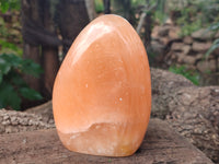 Polished Orange Twist Calcite Standing Free Forms x 2 From Madagascar