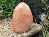 Polished Orange Twist Calcite Standing Free Forms x 2 From Madagascar