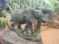 Polished Green Verdite Elephant Sculpture x 1 From Zimbabwe