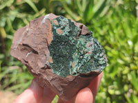 Natural Libethenite Crystals On Dolomite Matrix Specimens x 2 From Shituru, Congo