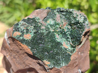 Natural Libethenite Crystals On Dolomite Matrix Specimens x 2 From Shituru, Congo