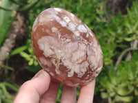 Polished Flower Agate Standing Free Forms x 5 From Antsahalova, Madagascar